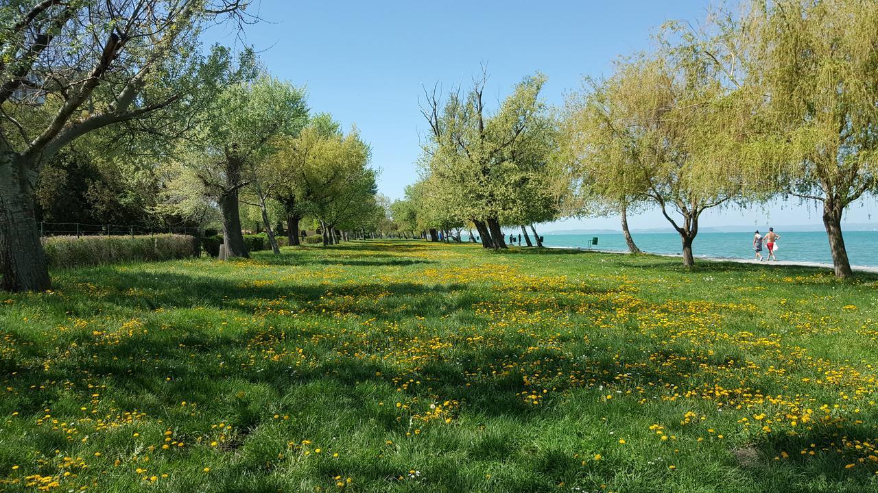 Surman Apartmanok Siófok Esterno foto